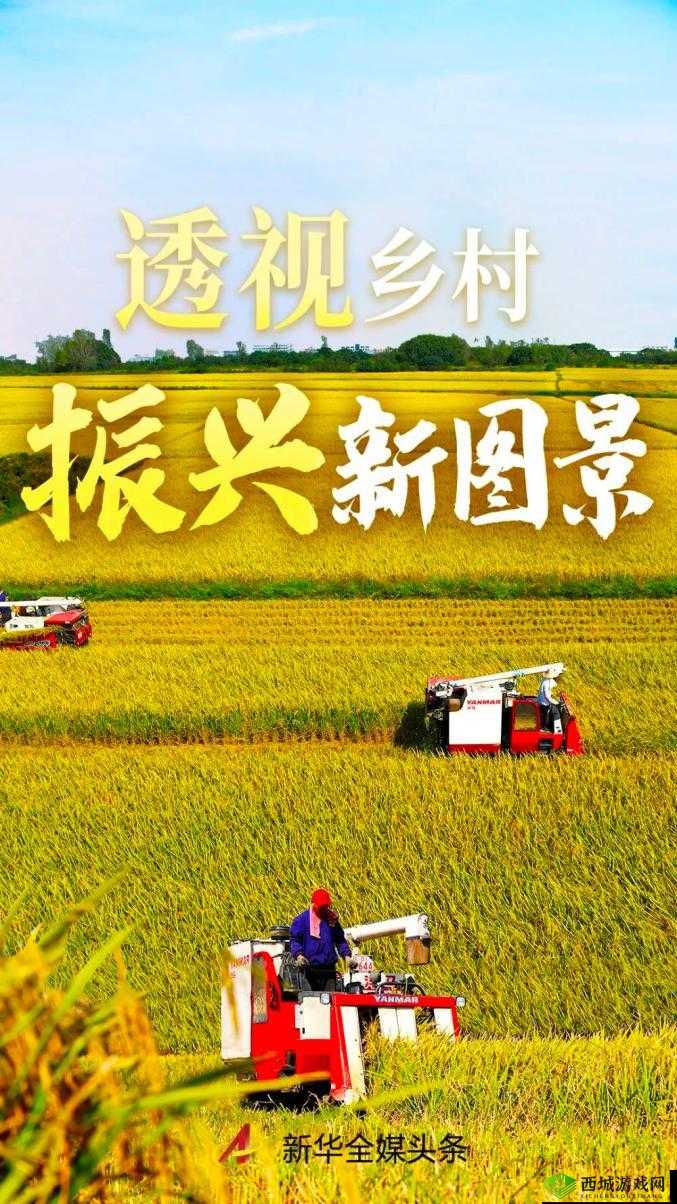 1204 手机基地你最懂:专业解读与服务