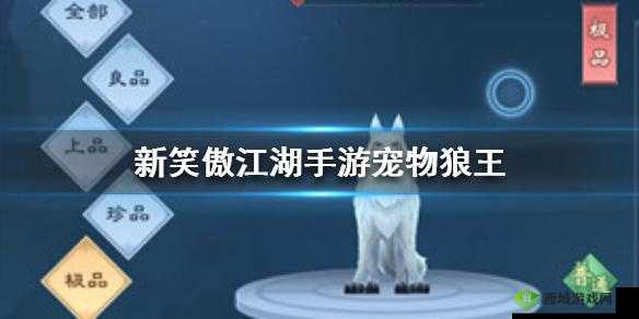 新笑傲江湖中那神秘莫测的狼王究竟如何