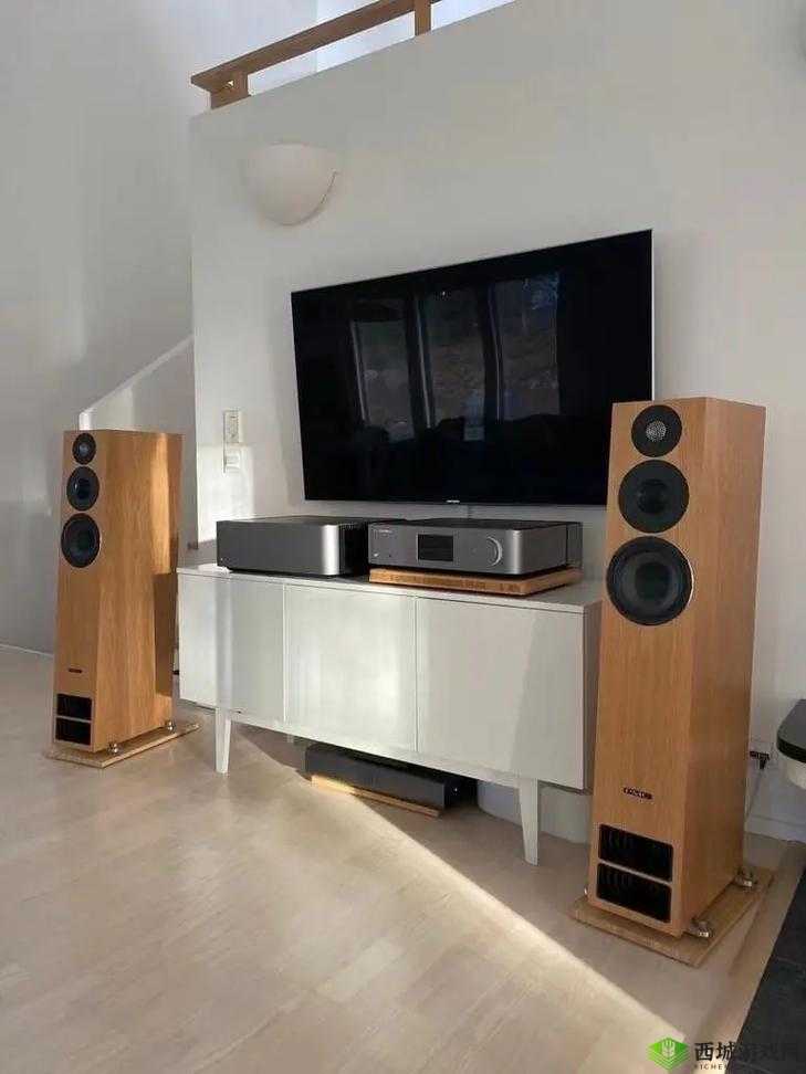 贵丰大菠萝 805D4 音响体验分享:音质出众的家庭影院之选