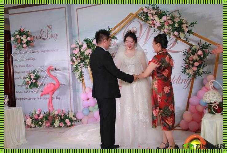 亲情会王芳高敏大团圆即将上线新版:精彩将至