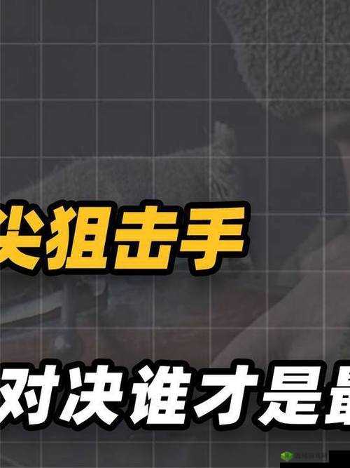 三个人黑白配：趣味对决谁称雄