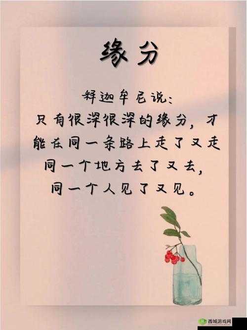 阴差阳错 1∨1 宋衿：一段奇妙缘分