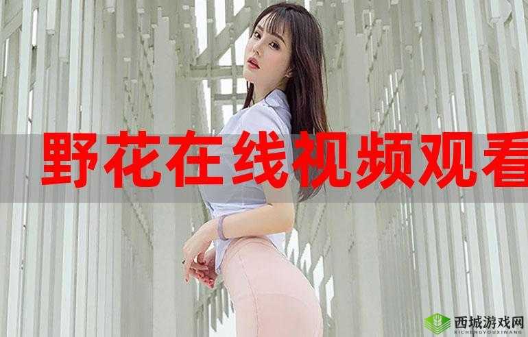 在线观看免费观看在线：畅享精彩无需付费