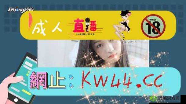 CHEAPWINDOWSVPS：优质低价的VPS服务