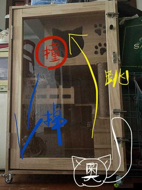 张警犬撞玻璃视频资源:精彩瞬间不容错过