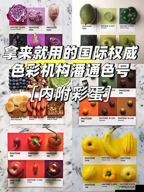 871c 潘通色点亮你的色彩世界：魅力无限