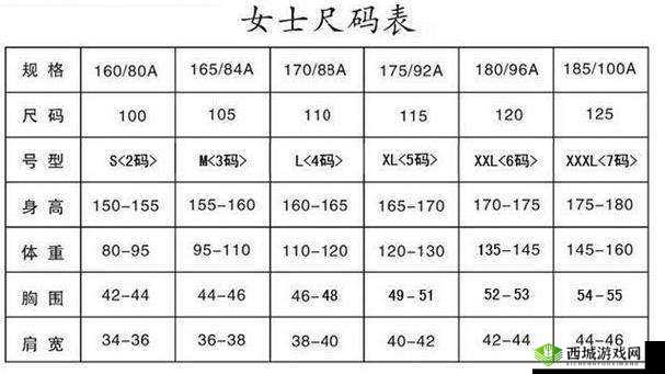 欧洲码欧洲尺码 M 高清:尺寸细节与优势