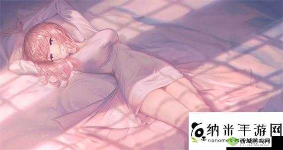 无人一区二区区别是什么之详细解析