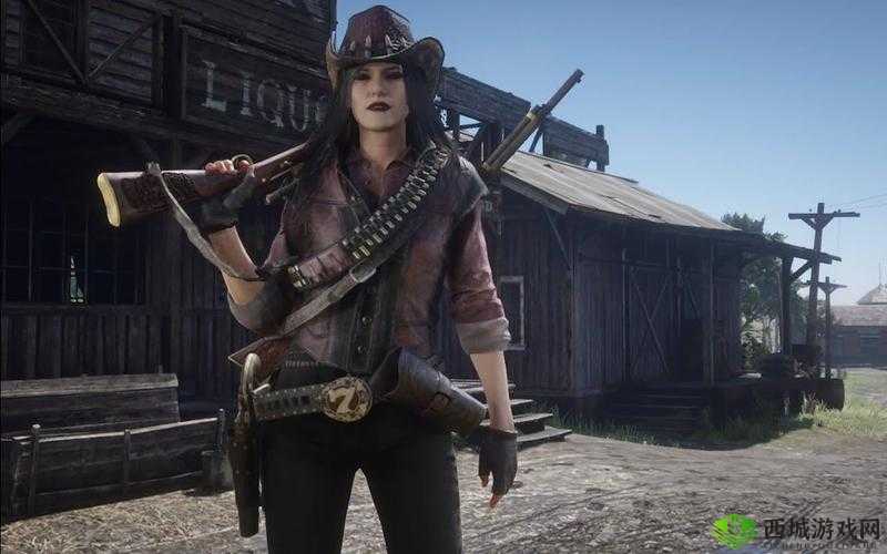 暴躁老阿姨荒野大镖客:西部传奇的女性冒险