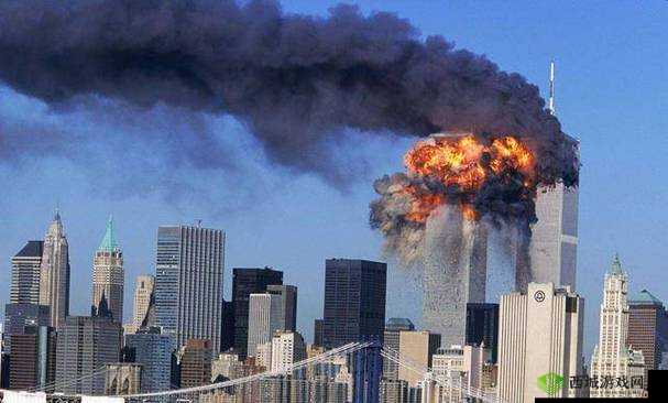 青娱乐 911：精彩内容不断