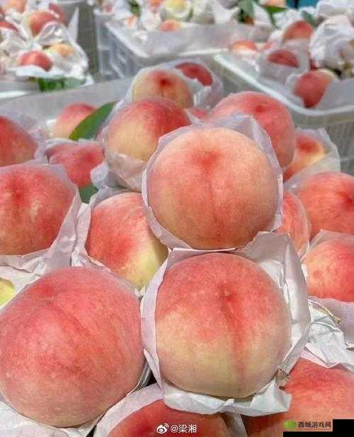 6708 杏色水蜜桃：美味水果新宠
