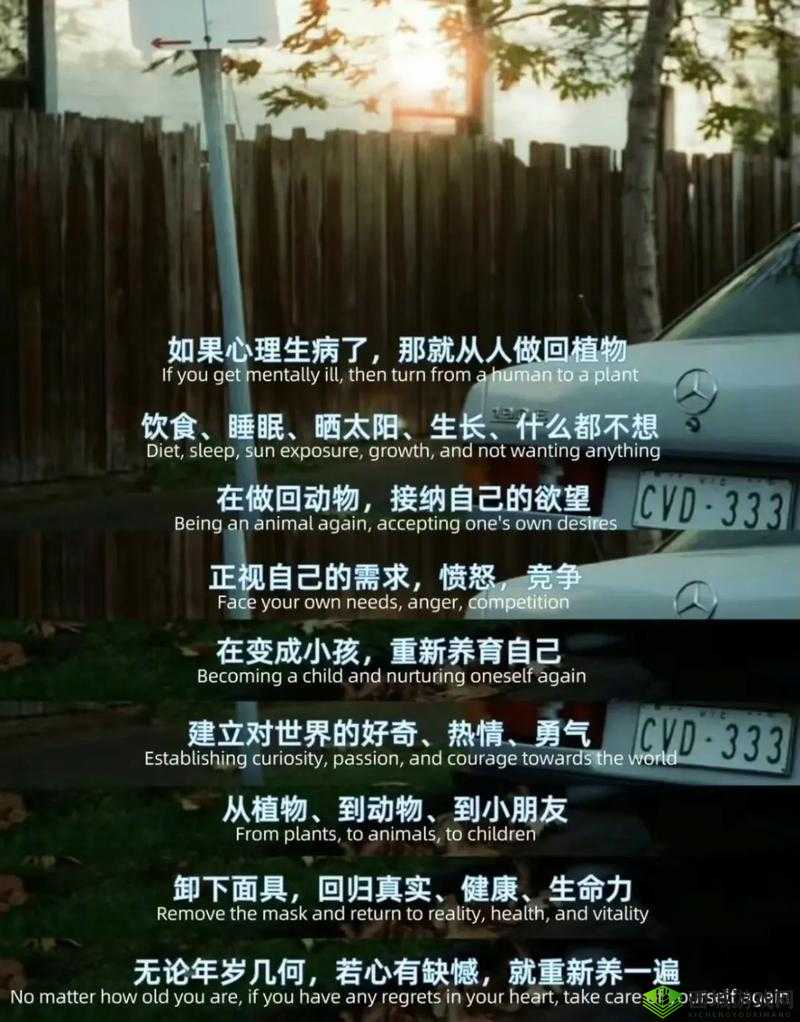低头看我们结交处:心灵的交汇之所