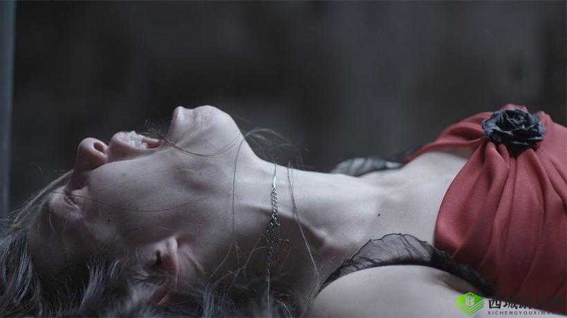 缅北恐怖视频 20 个原视频全览