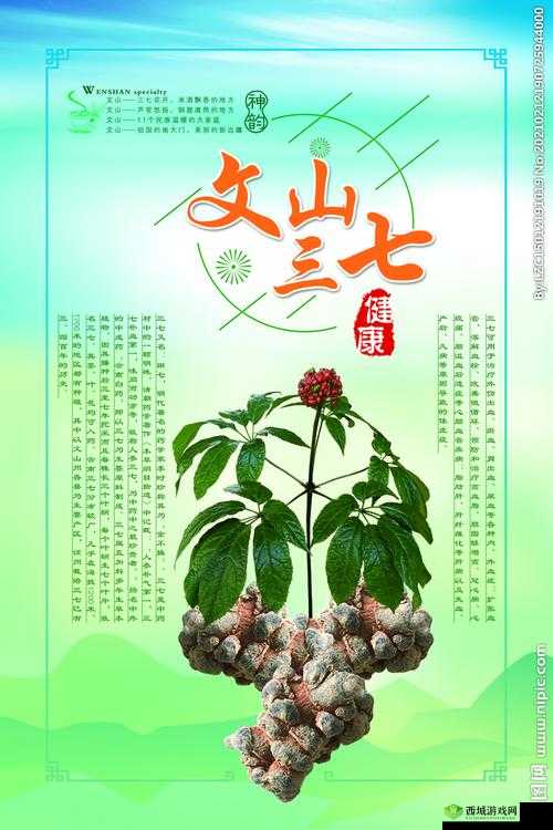 三七大但人文艺术免费：相关介绍