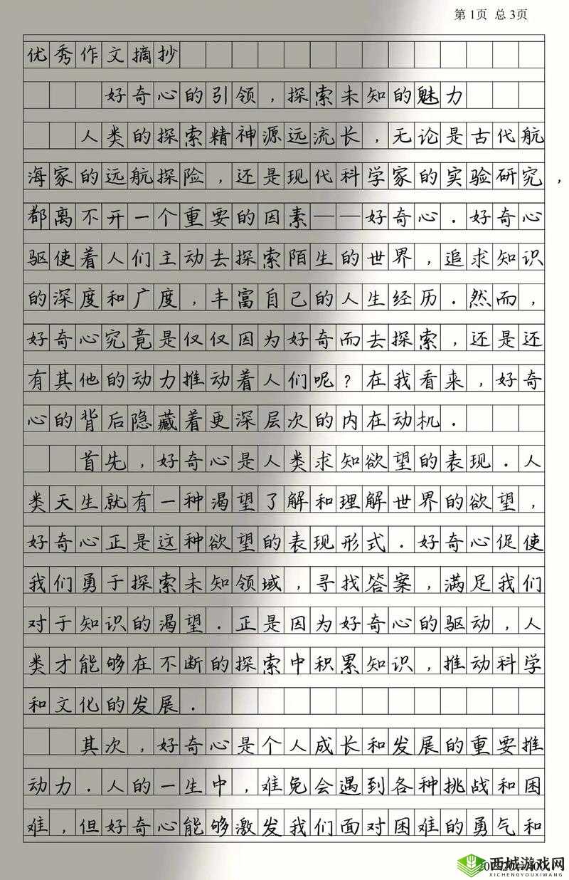 干 B 网：探索未知的精彩世界