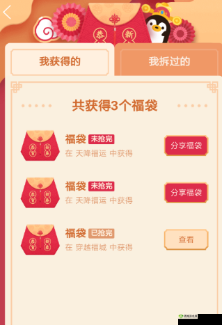 qq 福袋究竟是什么以及它所代表的意思详细解析