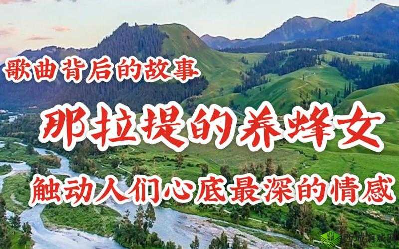 你不要离开不要伤害 探寻歌曲背后的情感故事与深意