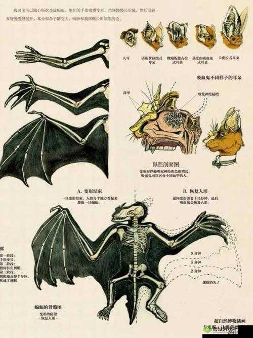 霍格沃茨之遗复仇的瞪羚成就解锁攻略全析