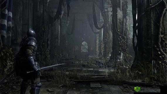 恶魔之魂物品复制大法揭秘：获取更多珍贵物品的技巧与攻略