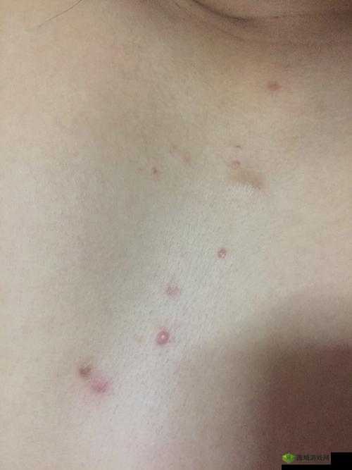 女生胸前的两个大包包有什么用:深度解析