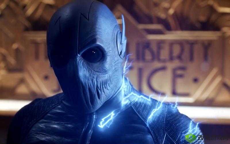 ZOOM 大狗:畅享极速之旅