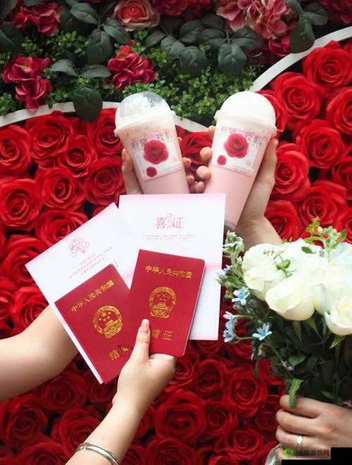 探索《字军之王3》游戏:情人挡刀成就达成秘籍与心得分享