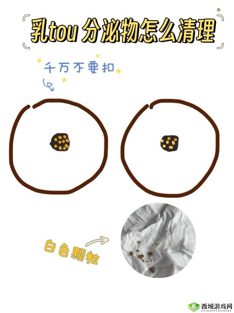 小弟里面有白色的东西怎么清理：实用方法分享