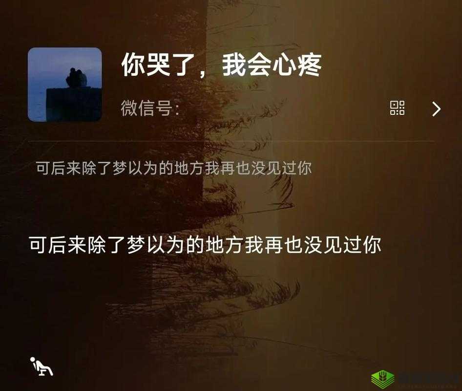 抖音热歌我再也没有对你想起背后的情感故事