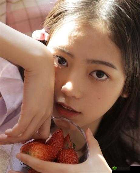 XXXXXL19 每 HD:开启全新视觉体验