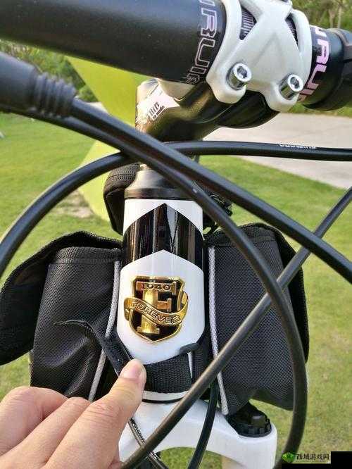 永久 ye8.8：独特的存在