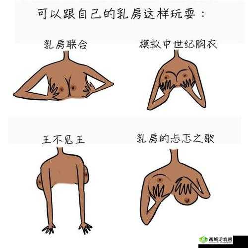 台湾佬大咪咪网：揭秘成人世界的秘密