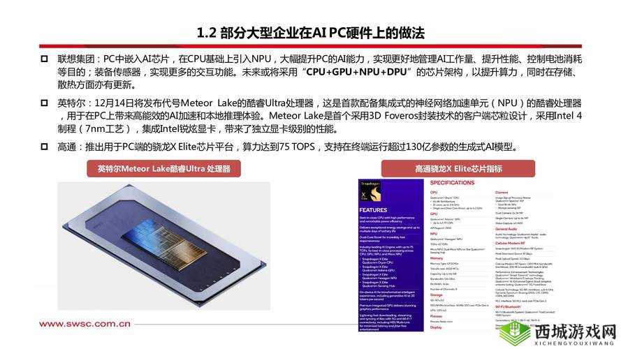 四叶草 M 码与欧洲 888 码异同解析-深度洞察