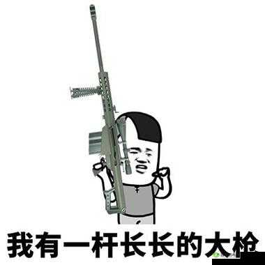 一杆大枪草全家:这是怎样的行为