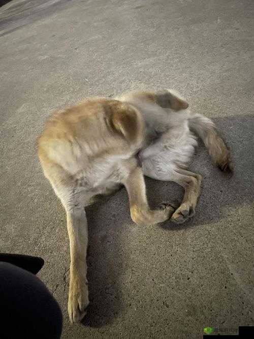 男的和女的打牌不盖被子的情况如何：结果意想不到