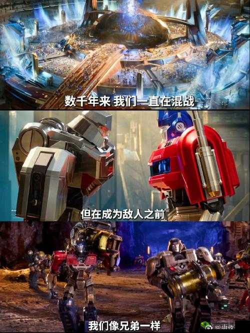 女一 VS 六男：兄弟混战