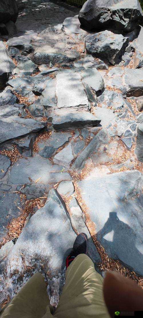 亚洲砖矿砖码 2024：揭秘背后的神秘世界