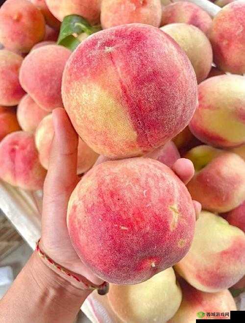 巨无霸水蜜桃 4439：甜蜜多汁的独特品种