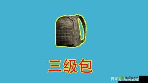 探索和平精英独特的三级包图鉴奥秘