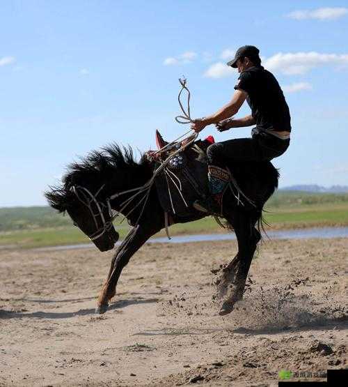 领地人生MMO驯马攻略：掌握驯服野马的关键步骤与技巧介绍