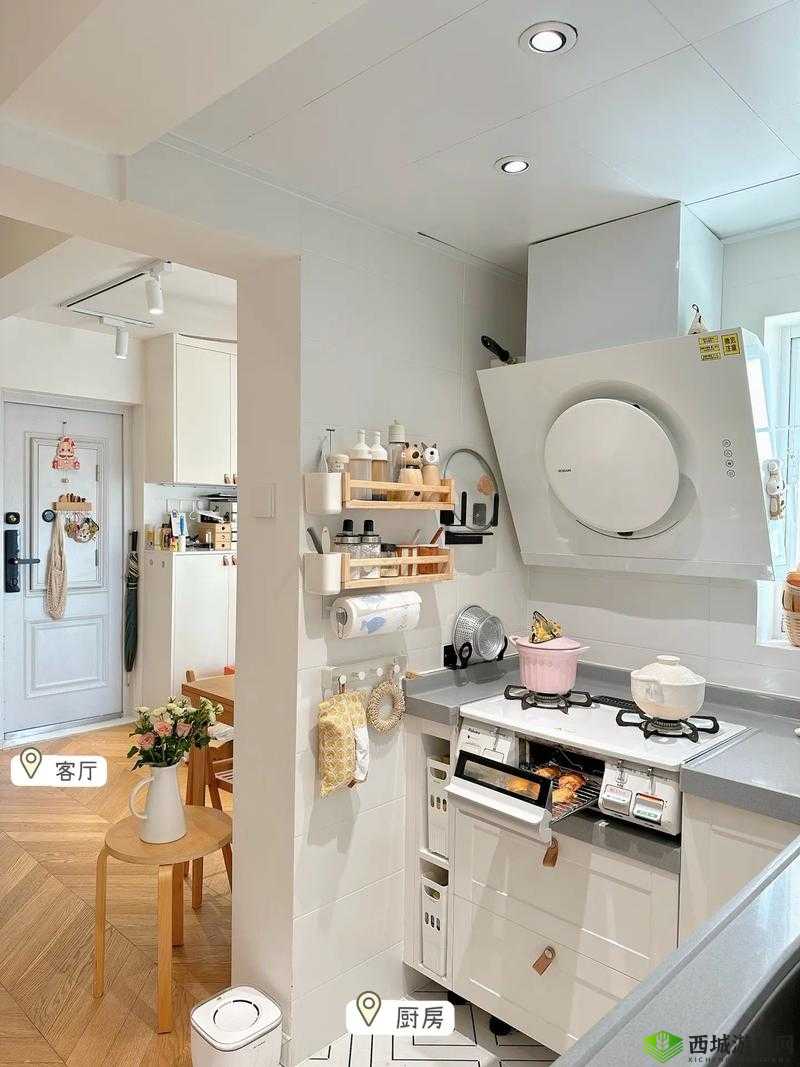 从厨房到客厅一路干：一场奇妙的探索之旅