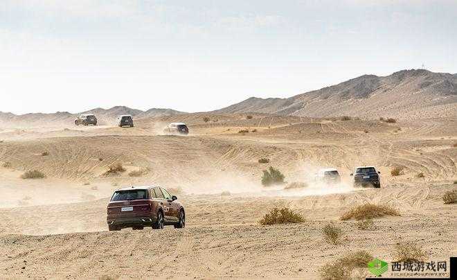 欧洲无人区码 SUV：极致探险之旅