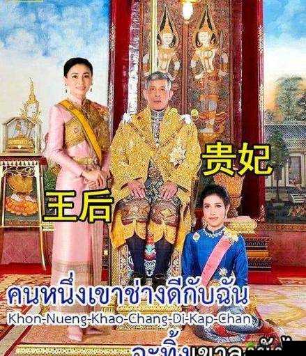 晨曦中的皇室赌局:王后赌局分支线任务攻略秘籍