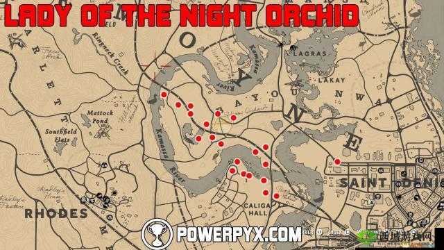 荒野大镖客2夜夫人兰位置及获取方法详解：探索荒野，发现夜女兰的神秘踪迹并解锁其获取之道