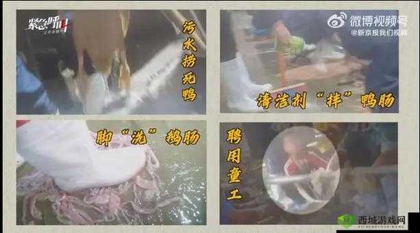 黑料专区：揭露真相，揭示黑幕