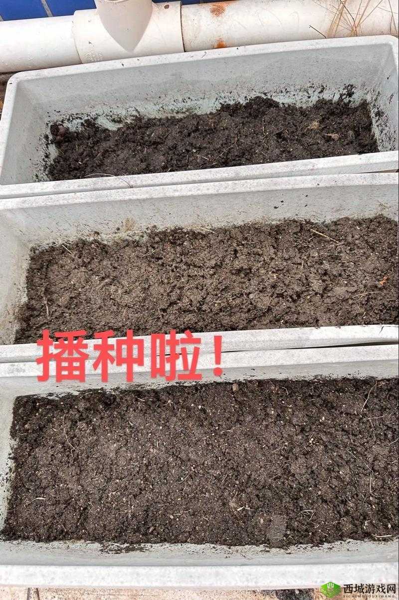 14MAY18_XXXXXL59ENDMBA 相关内容