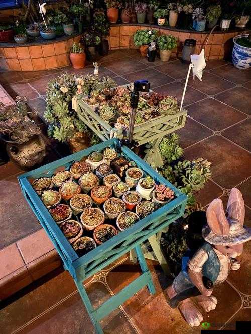 老公每天晚上吃小花园好吗引发网友热议:众说纷纭