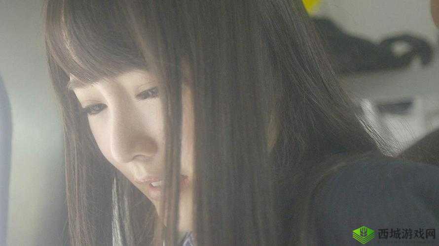 痴汉电车1313：一部特殊的作品