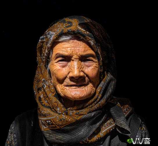 人文艺术 83638:独特魅力的展现