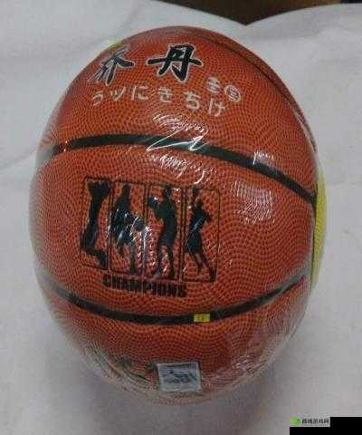 篮球队的公共玩具正伟之旅：热血征程