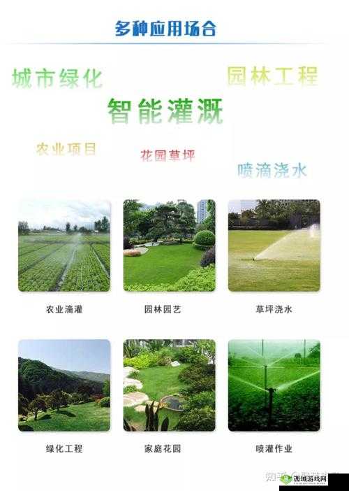 JY 灌溉收集系统顾泽:创新与应用